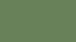 سرامیک اسلب طرح مونو کالر سبز روشن ابعاد-160*80-کاشی و سرامیک مهسرام-Slab Ceramic Mono Color Mahceram Tile