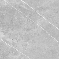 bergamo-light-gray-polished-glossy-58x58-1