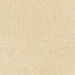 سرامیک طرح وینتر ابعاد-60*60-کاشی زاگرس-Ceramic Winter Arzhang Tile