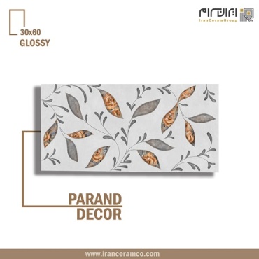 سرامیک طرح پرند دکور ابعاد-60*30-کاشی کوثر ابرکوه-Ceramic Parand Kosar Tile